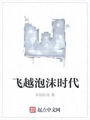 飞越泡沫时代封面